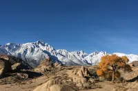 Walk to Main St! 20 min drive to Whitney Portal. High speed internet
