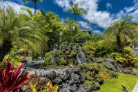 Clean, Maui Family Owned, Private, Top Floor, Lots of Amenities, Oceanview! - Villaer