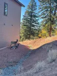 Mountain & Pond Views, Hot Tub, Loft+3BR, Stargazing, Kid + Dog Friendly