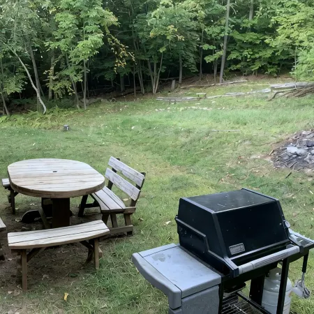 Private Adirondack lakefront Cottage on Loon Lake