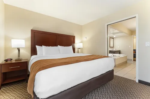 Comfort Inn Ebensburg
