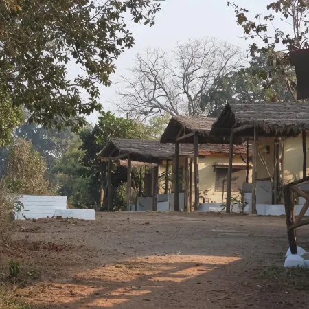 Home in the Jungle Pench