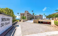 Magnificent Oceanfront Luxury Dolphin Suite with Your Own Private Elevator!