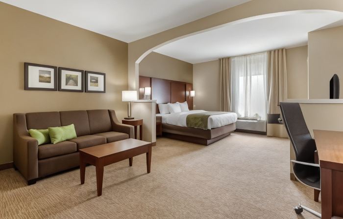 Comfort Suites Johnson City Near University