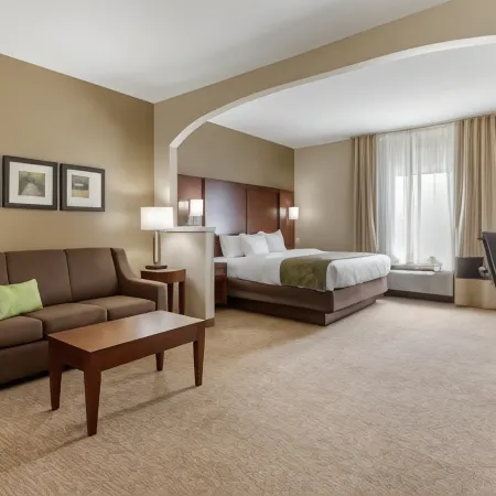 Comfort Suites Johnson City Near University