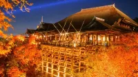 Sakura Terrace - bar