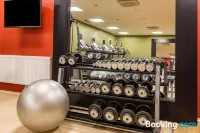 Hilton Helsinki Airport - Gym