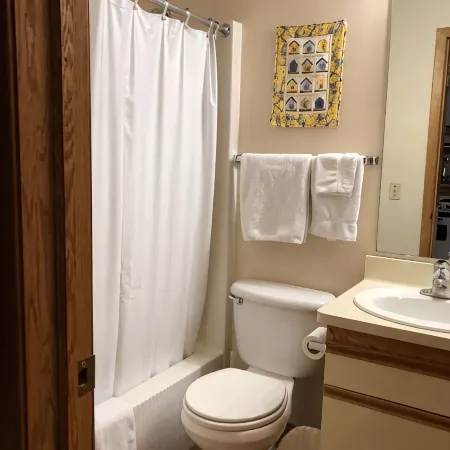SKI-OUT & IN! Hike, bike, fish, golf, beautiful Lake Superior N Shore/Sleeps 2+