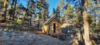 Forest cabin on 4 acres,  Newly renovated, Quiet and secluded.