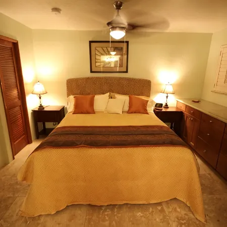 Ocean Front Condo with AC, Watch Sea Turtles from Our Lanai