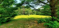 Charlie's Woodside Getaway-4 miles from the Dells! - Hytter