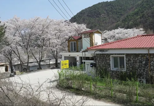 Cheongdo Gangbyeon Dolgorae Pension - 3-Star