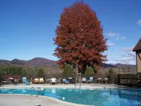 Highland Manor Inn - Wifi
