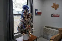 Texas Bluebonnet Tiny House #255 at Copperas Creek - 3-Star