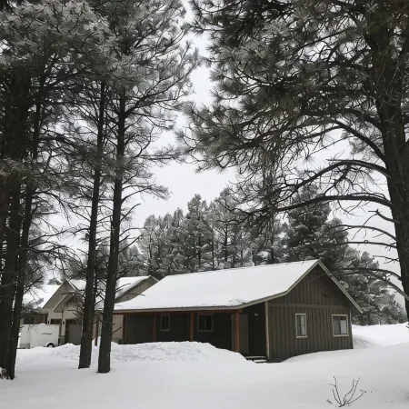 Cabin in Pagosa Lakes, Permit #: VRP036627