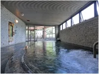 Hotel de Marronnier Yunoyama-Onsen - Hot Springs