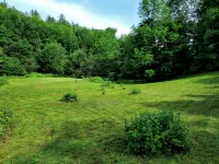 Cozy 1-bedroom loft apartment in lovely Duxbury - Huoneistot