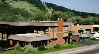 Rabbit Ears Motel - Wifi