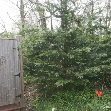 Cottage near bay beach- 1 Bd/1Ba