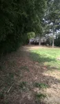 Relaxing lake home on Lake Hamilton. - Wifi