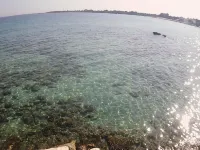 Summer Beach Rooms - Wifi