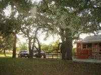 Secluded, shady river front Get-away cabin - Chalets