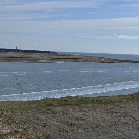 Eagles Perch!! Beautiful apt. In Kenai overlooking the mouth of the Kenai River