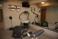 Private Luxury Retreat: In-home Theatre, Hot Tub, Gym, Game Room, and Zebra! - Gym