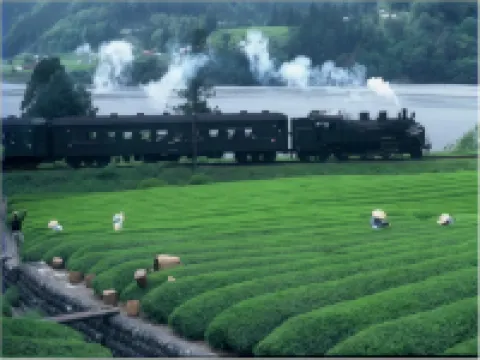 くれたけイン 掛川