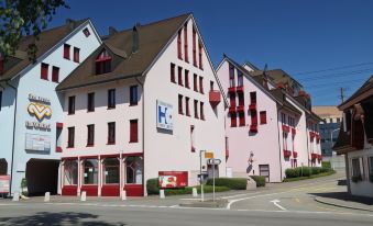 Hotel Olten Swiss Quality