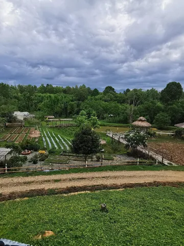 รูปภาพของไร่ต้นรักออร์แกนิคฟาร์ม