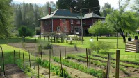 Sasquatch Crossing Eco Lodge B&B