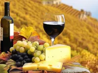 Hunter Valley Motel Hotels in Cessnock
