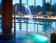 Castleknock Hotel - Pool