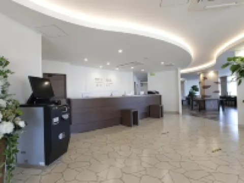 Hotel New Gaea Nishi Kumamoto Ekimae