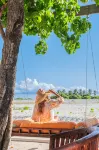 Wave Sound by 3S Maldives - Beach
