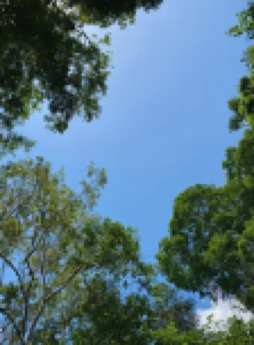 Hospedaje Casa Amazónica Iquitos