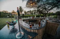Clarks Safari Pushkar - bar