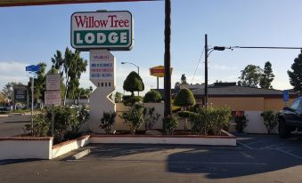 Willow Tree Lodge