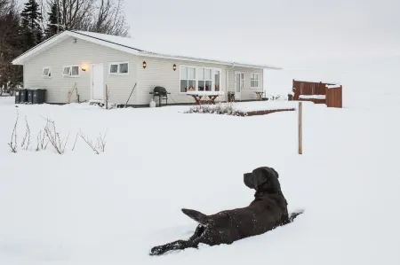 Vallakot Farm Guesthouse Отели в г. Thingeyjarsveit