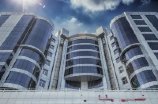 Royal Phoenicia Hotel