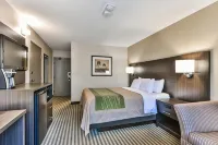 Comfort Inn Hotels in Chatham