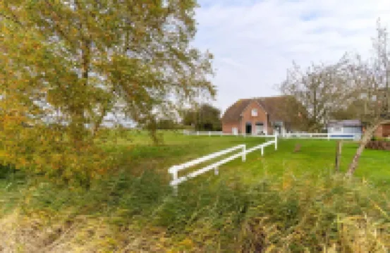 Ferienwohnungen, Tonning