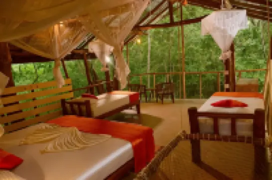 Back of Beyond - Pidurangala