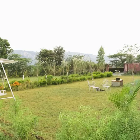 Ranthambhor Tiger Valley