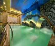 Marigold Thermal & Spa Hotel Bursa - Hot Springs