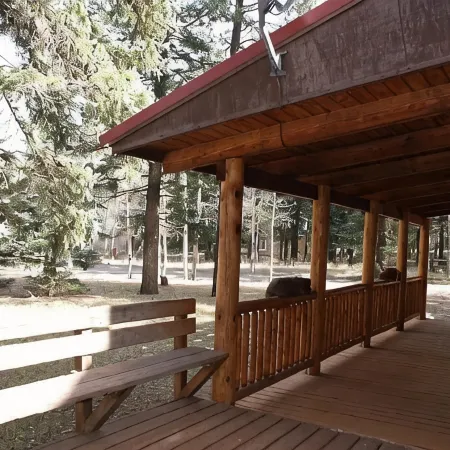 Charming 3 bedroom cabin in the White Mountains, Tal Wi Wi/Alpine with WIFI