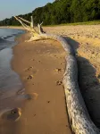 Relax on your own private beach on stunning Lake Michigan - Beach