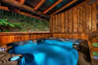 Couples Cabin - Private Hot Tub - 1 Mile to Parkway - Romanttinen