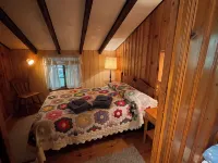 Roomy, Rustic Cabin-4BR, Modern Amenities-Rothrock St Forest near State College - Chalets